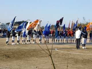 DSCN0182