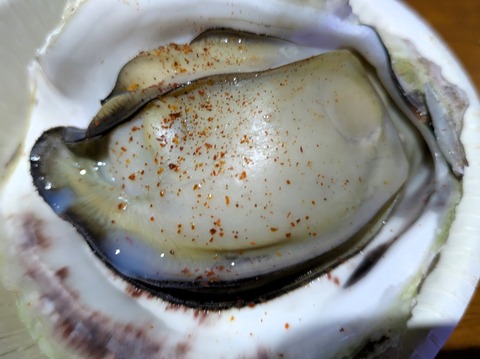 PXL_20250726_083430075