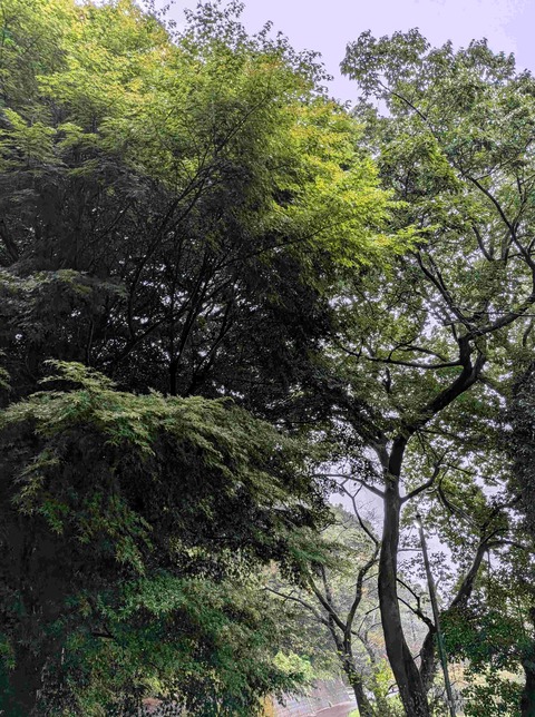 PXL_20260911_224236085