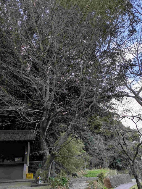 PXL_20260313_224328032