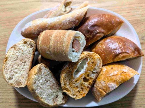 PXL_20241116_044922796