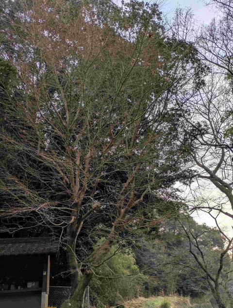 PXL_20260213_224206567