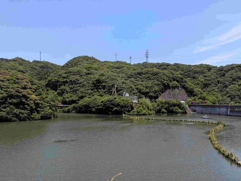 PXL_20260610_031223449