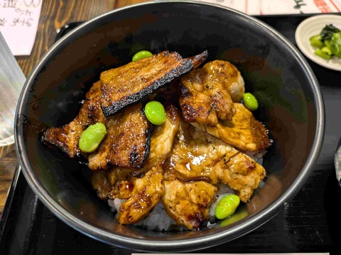 PXL_20251108_034815941