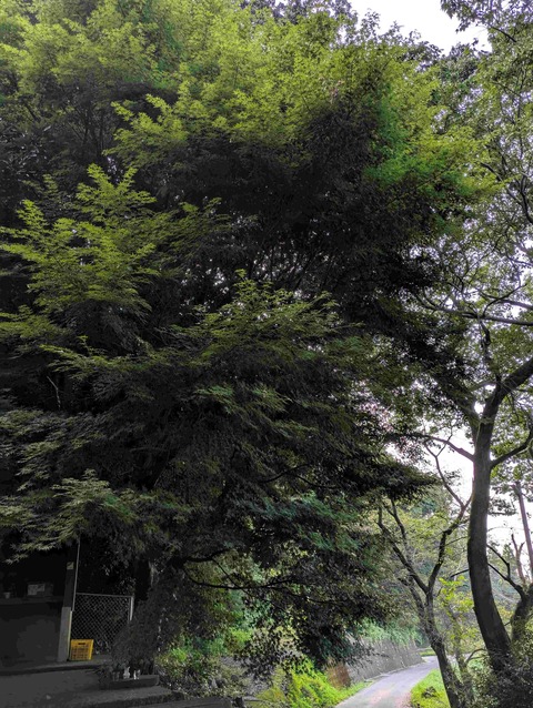 PXL_20250829_224048032