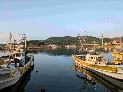 PXL_20240615_213415490