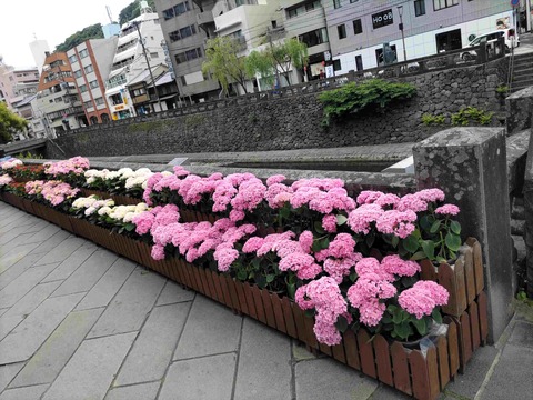 IMG_20240523_123843