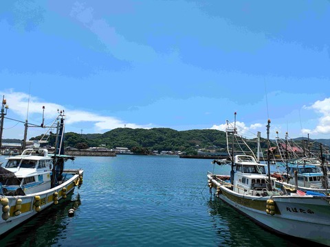 PXL_20240612_033429965