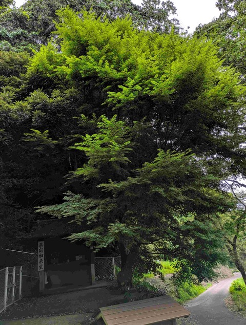 PXL_20250620_224535174
