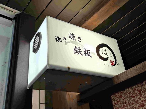 PXL_20250201_134343744