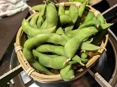 PXL_20260109_110709845