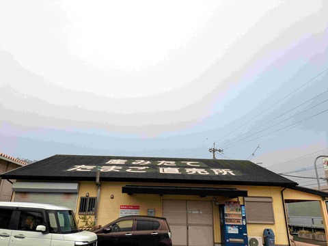 PXL_20241115_223251953