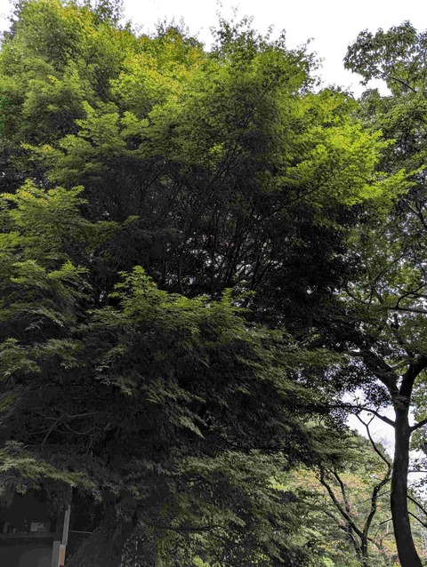 PXL_20260904_224022006
