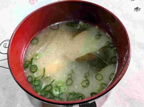 PXL_20260107_032102919