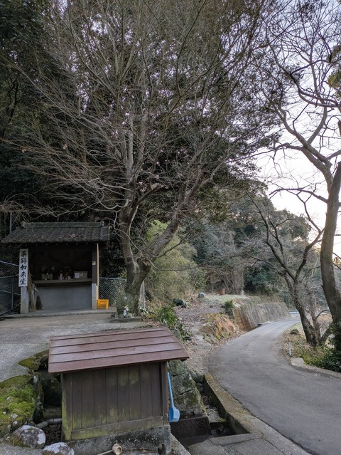 PXL_20250210_224137674
