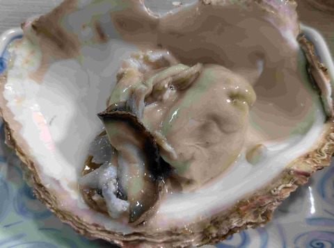 PXL_20250629_094344560