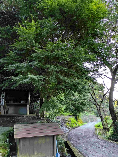 PXL_20240830_224112048