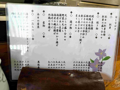 PXL_20240610_031609495