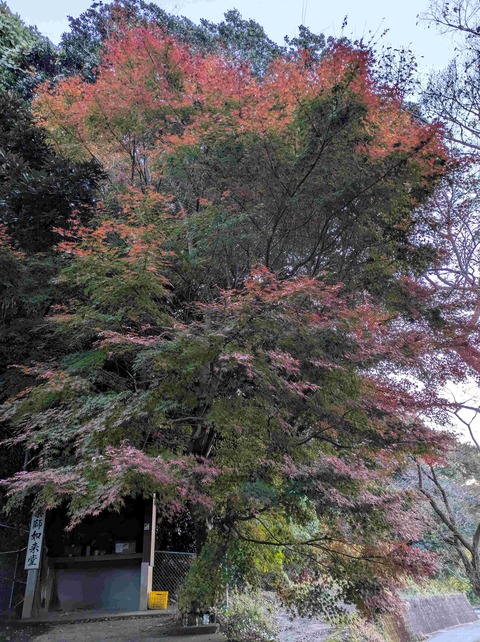 PXL_20251205_223947486