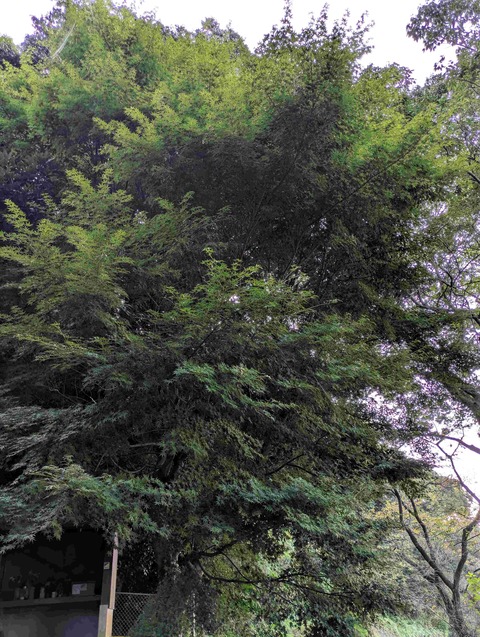 PXL_20250905_224245777