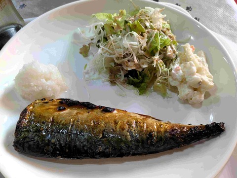 PXL_20251104_032554593