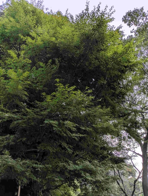 PXL_20251024_224637785