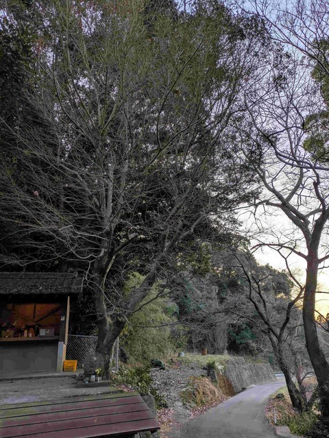 PXL_20250117_223905268