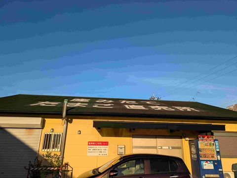 PXL_20241107_223557148