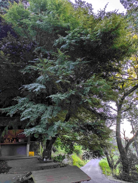 PXL_20251010_224823909