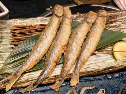 PXL_20250701_103325500