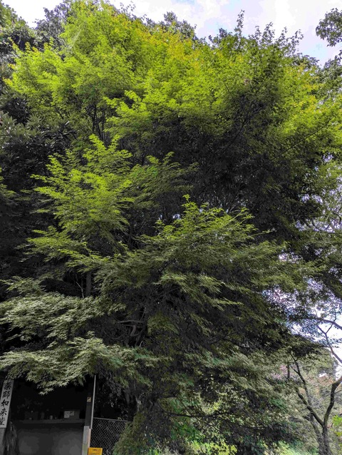 PXL_20250926_224329192