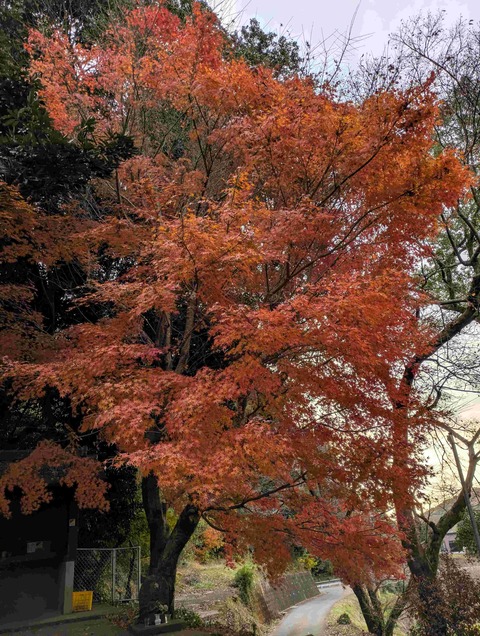 PXL_20251212_224839230