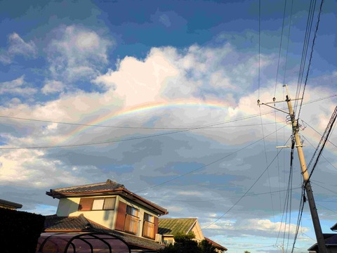 PXL_20250727_094506042