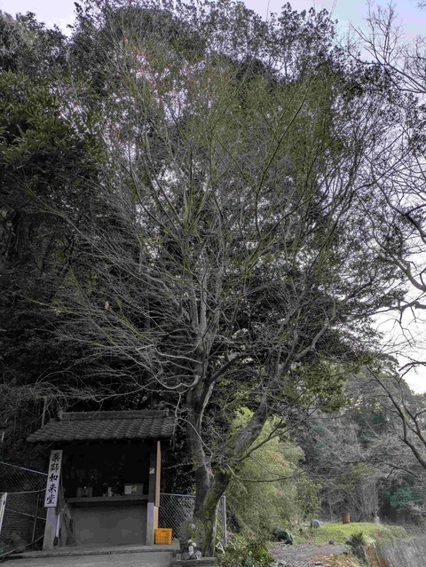PXL_20250321_224400362