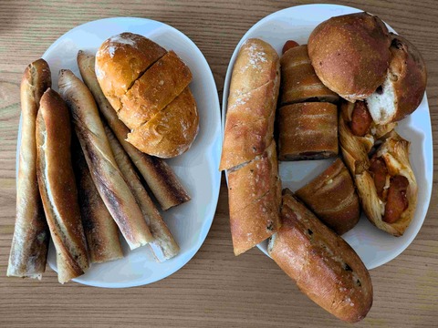 PXL_20240831_044142100