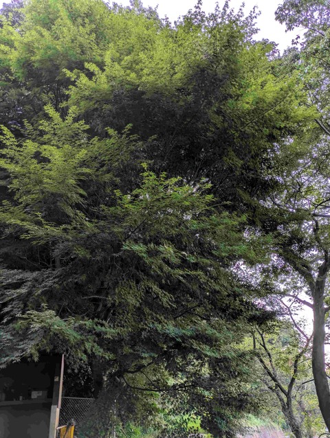 PXL_20250801_223841560