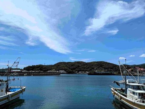 PXL_20240821_032413398