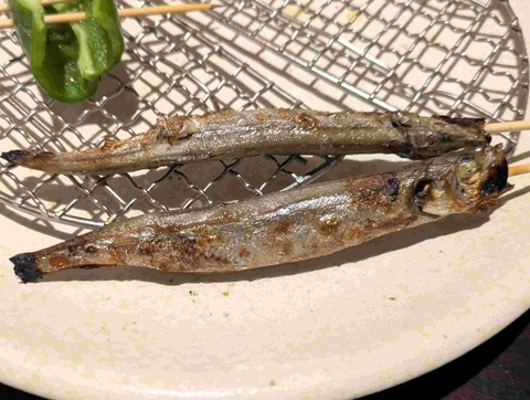 PXL_20250905_100248814