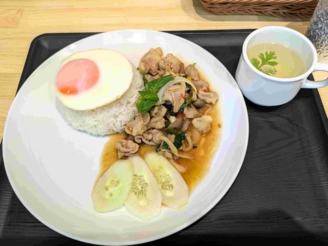 PXL_20240830_041300306