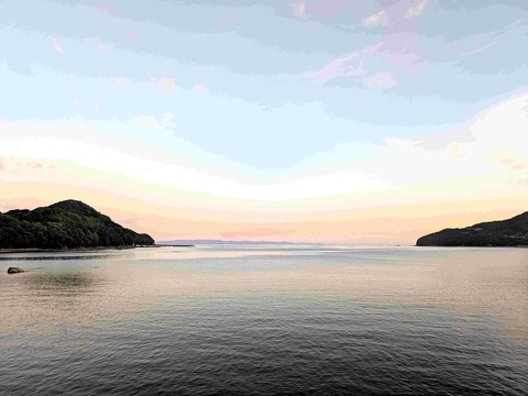 PXL_20250731_100709812