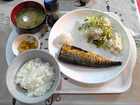 PXL_20251104_032549387