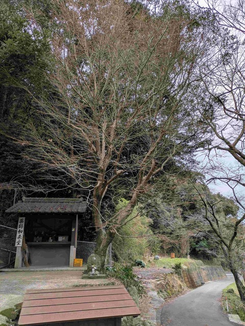 PXL_20250307_224719439