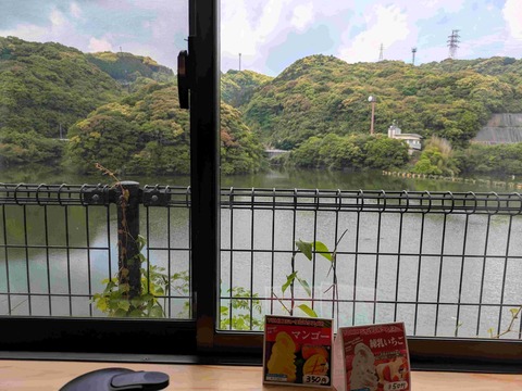 PXL_20250512_032358972