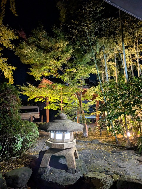 PXL_20251115_134009818