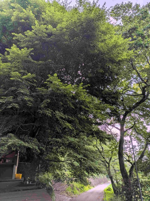 PXL_20260605_223717334