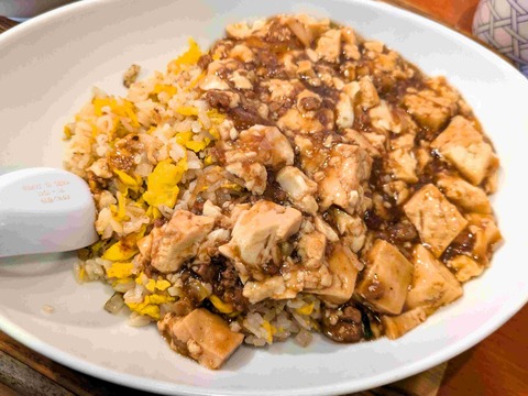 PXL_20250131_043055861