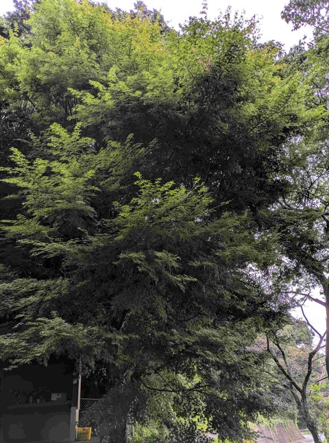 PXL_20250912_224653651