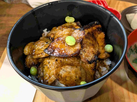 PXL_20250330_044823841