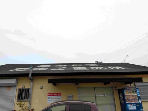 PXL_20250307_223207532
