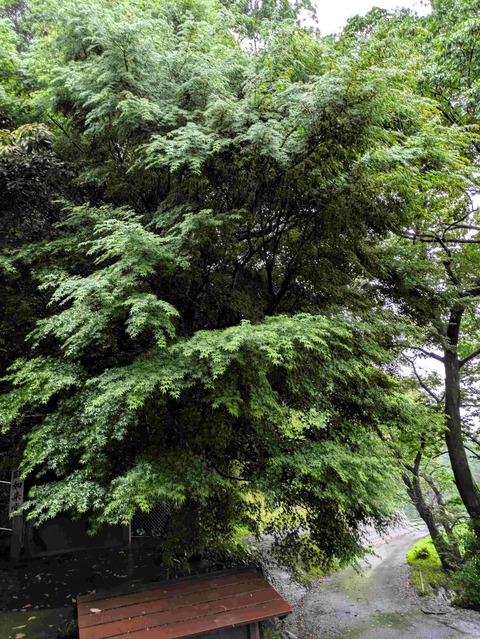 PXL_20250523_224248892